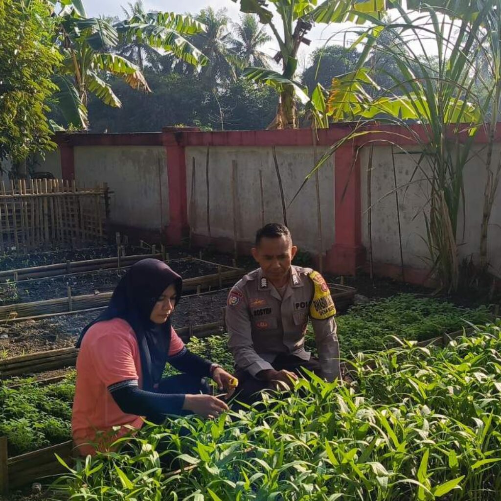 KWT Dusun Pemangket Ubah Pekarangan Jadi Kebun Sayur Produktif di Kuripan Utara