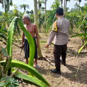 Polisi Desa di Gelogor Aktif Dampingi Petani Lindungi Tanaman