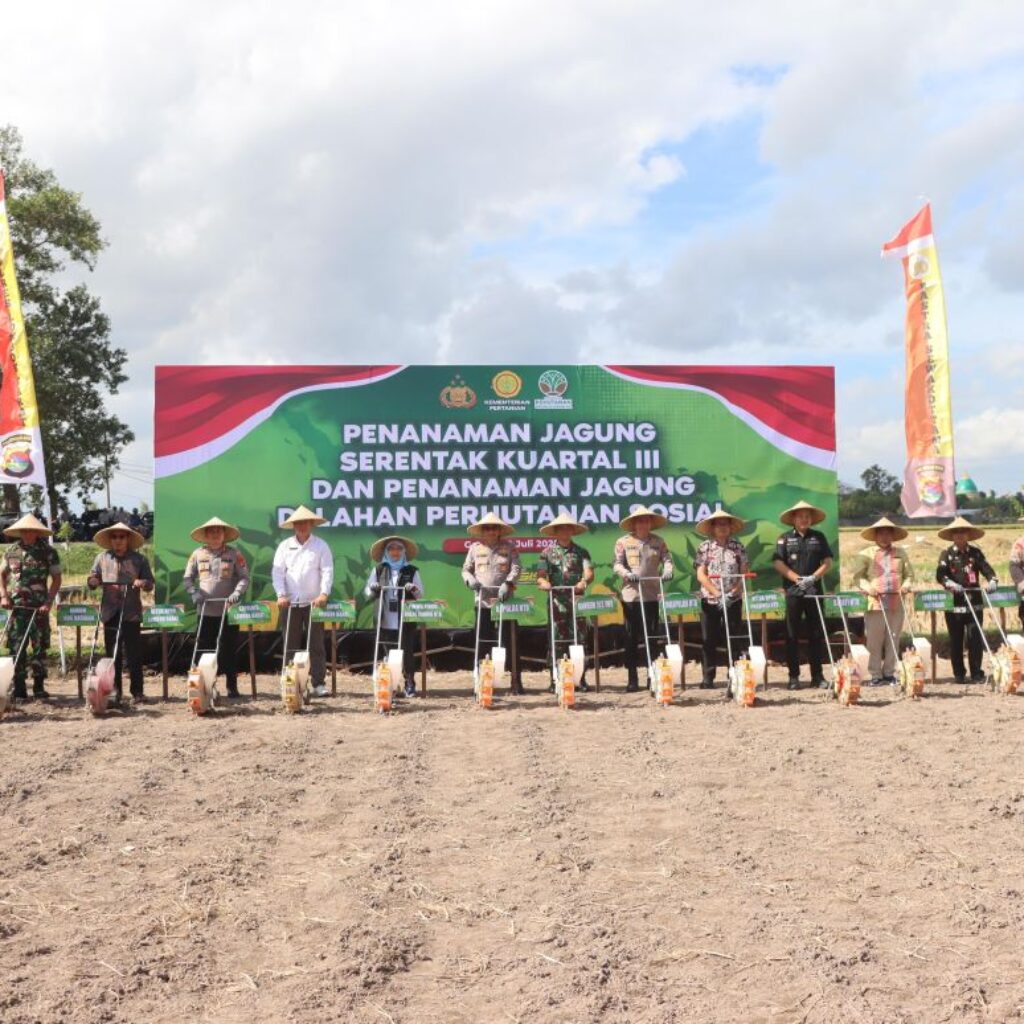 Ketahanan Pangan NTB, Polda dan Pemda Tanam Jagung Serentak di Lombok Barat