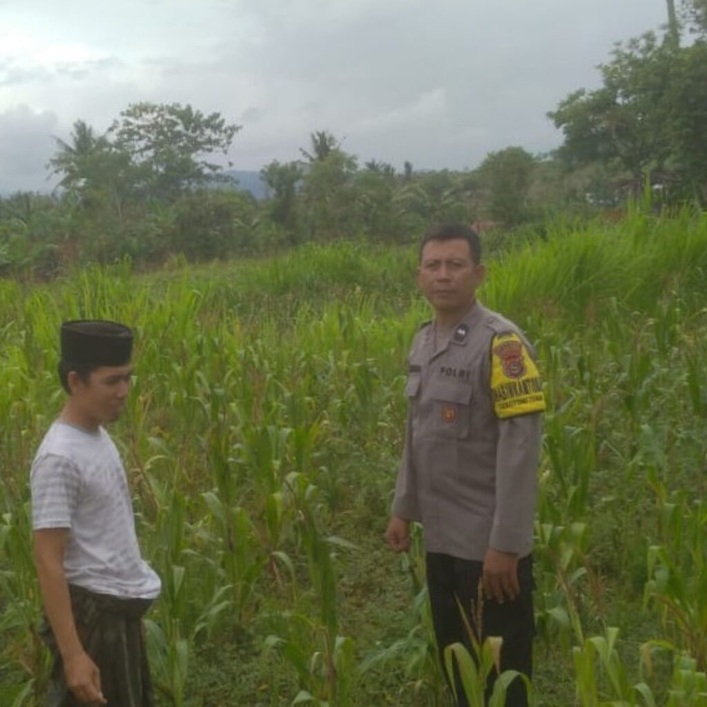 Sinergi Polisi dan Petani di Sekotong: Wujudkan Ketahanan Pangan dari Pekarangan