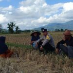 Ketahanan Pangan Dimulai dari Desa: Inisiatif Bhabinkamtibmas Babussalam