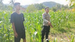 Sinergi Polri dan Petani: Aksi Bhabinkamtibmas Cendi Manik di Dusun Sayong Apit Aik