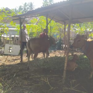 Polri dan Warga Sekotong Kolaborasi Kembangkan Peternakan