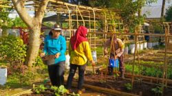 Kunjungan Polri ke BPP Kuripan Jadi Contoh Kolaborasi Ketahanan Pangan Desa