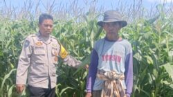 Polsek Gerung Intensifkan Pendampingan Petani di Dusun Bila Tepung