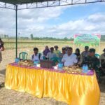Penanaman Jagung Serentak di Kuripan: Kolaborasi Tiga Pilar Majukan Pertanian Lokal