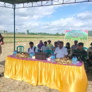 Penanaman Jagung Serentak di Kuripan: Kolaborasi Tiga Pilar Majukan Pertanian Lokal