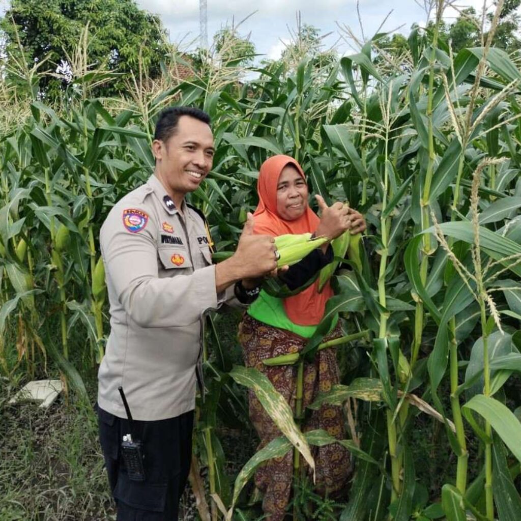 Sinergi Polri dan Petani di Labuapi: Optimalkan Pekarangan untuk Kemandirian Pangan