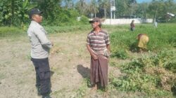 Sinergi TNI-Polri Dukung Ketahanan Pangan di Desa Taman Ayu, Gerung