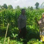 Sinergi Polri dan Petani di Lombok Barat, Ketahanan Pangan Jadi Prioritas