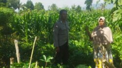Sinergi Polri dan Petani di Lombok Barat, Ketahanan Pangan Jadi Prioritas