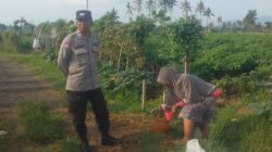 Bhabinkamtibmas Dorong Ketahanan Pangan di Montong Are, Lombok Barat