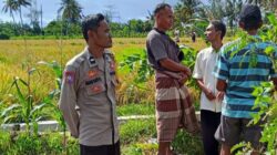 Dukung Ketahanan Pangan, Polisi Sambangi Petani Padi di Rumak Barat Selatan