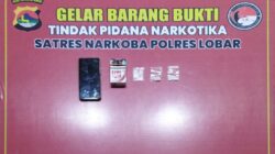 Satresnarkoba Tangkap Pria Asal Melase saat Edarkan Sabu di Meninting
