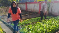 Optimalisasi Pekarangan, Polri dan Warga Kuripan Utara Sinergi Wujudkan Swasembada Pangan