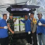 30bde5ef-29a8-4c70-aede-03f888e17452