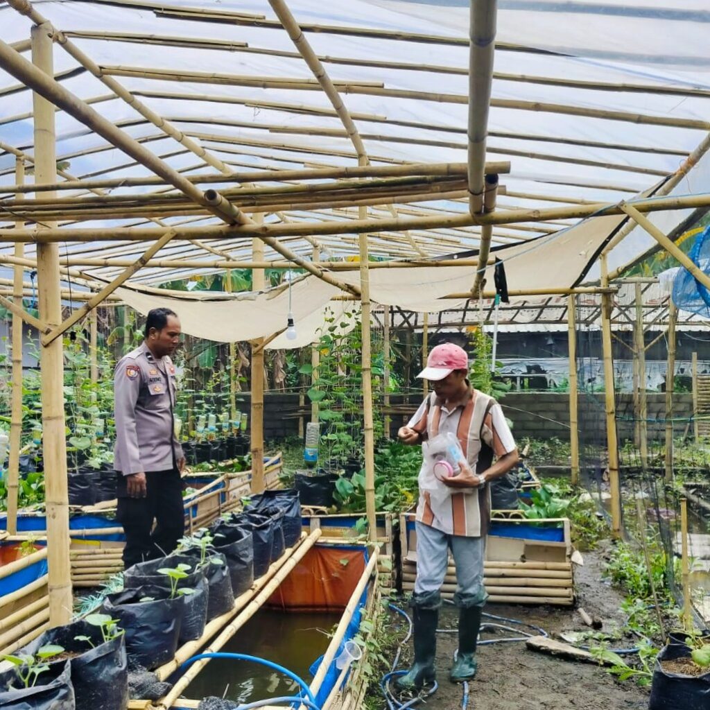 Sinergi Polri dan Warga Desa Bajur Bangun Kemandirian Pangan Keluarga