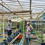 Sinergi Polri dan Warga Desa Bajur Bangun Kemandirian Pangan Keluarga