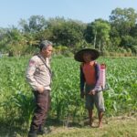 Bhabinkamtibmas Sandik Ajak Warga Dusun Tato Barat Wujudkan Swasembada Pangan