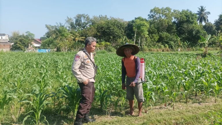 Bhabinkamtibmas Sandik Ajak Warga Dusun Tato Barat Wujudkan Swasembada Pangan