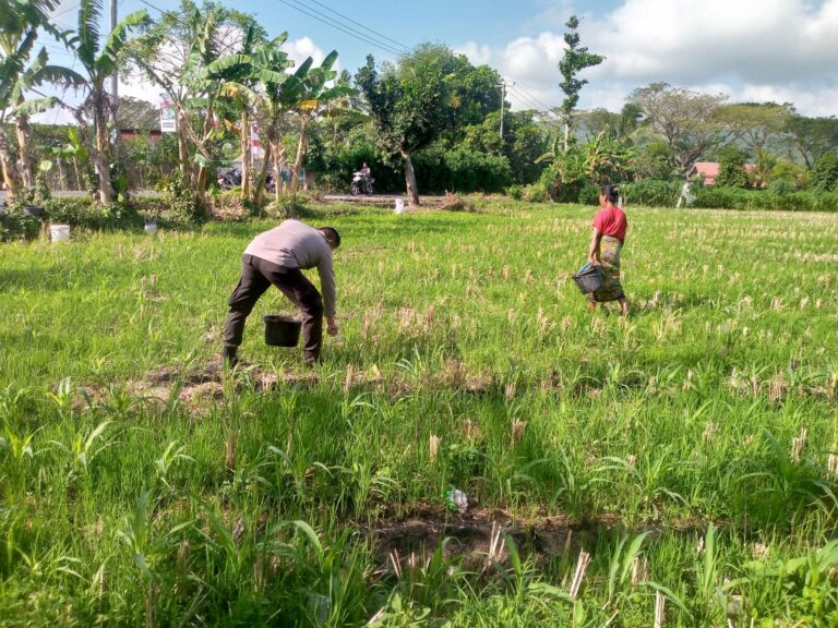 Dukung Ketahanan Pangan, Bhabinkamtibmas Kuripan Ajak Warga Manfaatkan Lahan Produktif