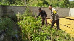 Inisiatif Humanis Polri di Sekotong Tengah, Edukasi Pangan dari Pekarangan Rumah