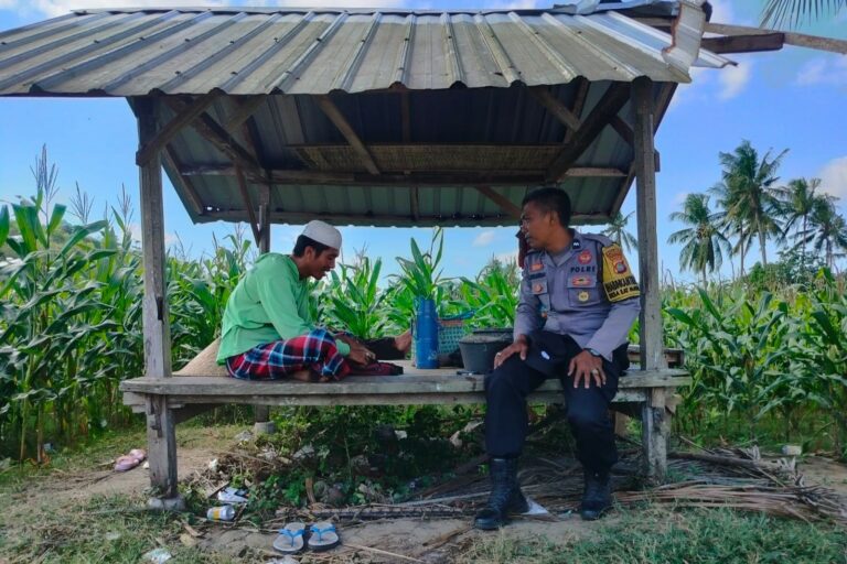 Jalin Kedekatan, Bhabinkamtibmas Desa Eyat Mayang Sambangi Petani Jagung Dukung Ketahanan Pangan