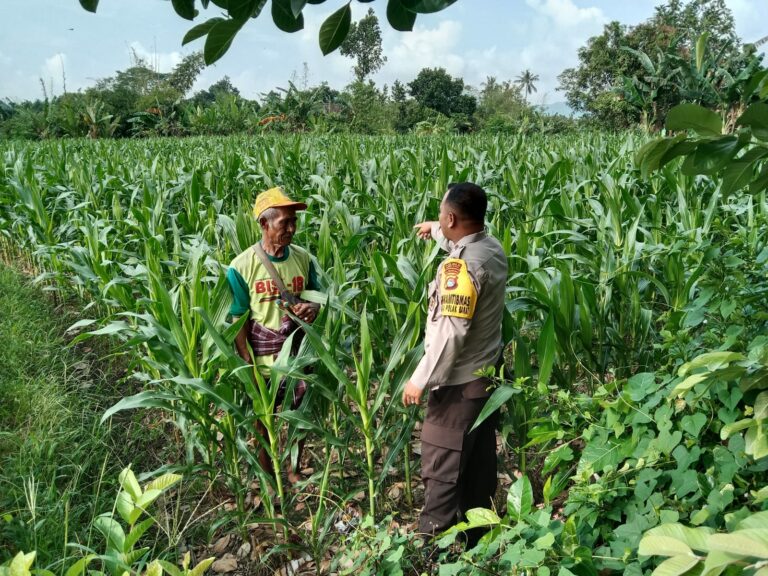 Menjaga Ketahanan Pangan, Bhabinkamtibmas Labuapi Ajak Warga Manfaatkan Lahan Kosong