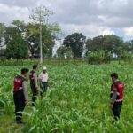 Polres Lombok Barat Dampingi Petani Gerung Utara, Dukung Swasembada Pangan