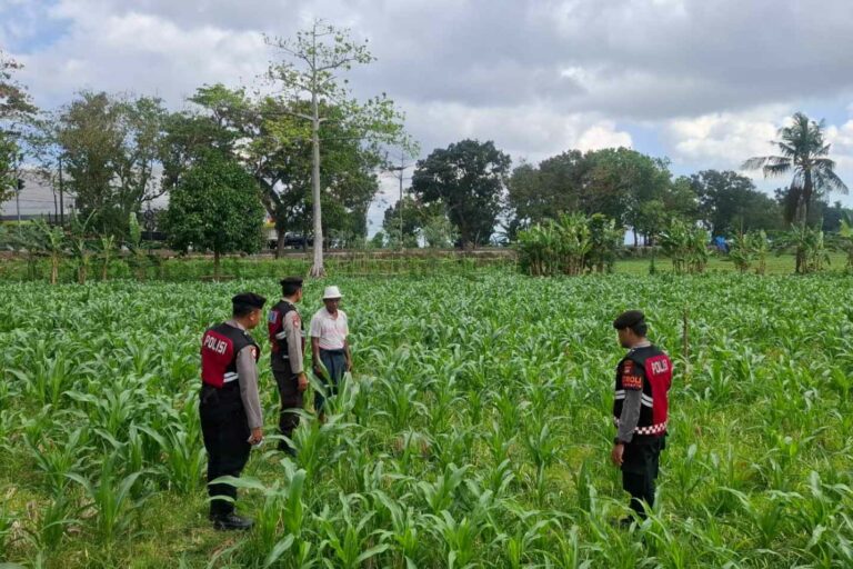 Polres Lombok Barat Dampingi Petani Gerung Utara, Dukung Swasembada Pangan
