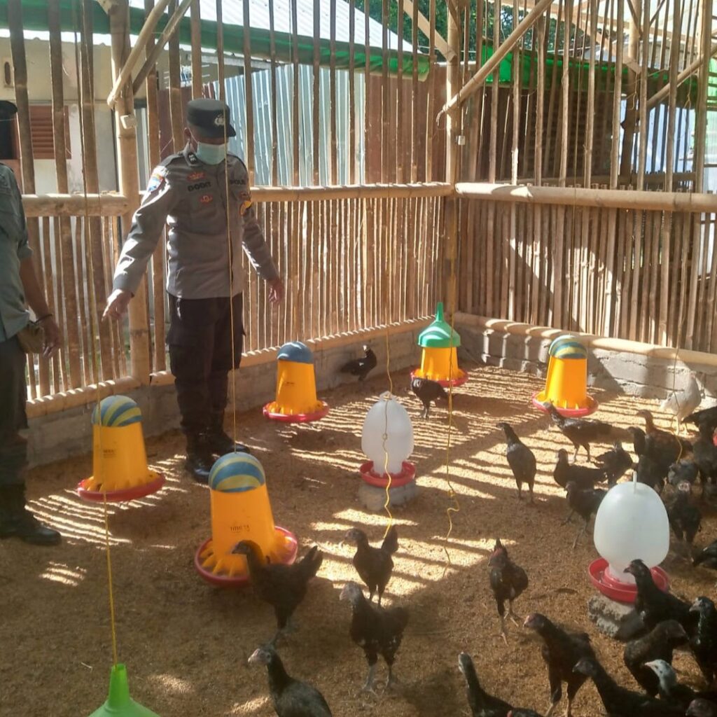 Polri Dorong Swadaya Pangan Lewat Bhabinkamtibmas Desa Jagaraga, Lombok Barat
