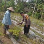 Polsek Labuapi Ajak Warga Desa Kuranji Wujudkan Kemandirian Pangan Lewat Pertanian Pekarangan