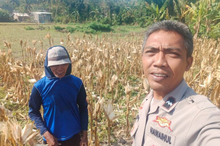 Sinergi Polri dan Petani Jagung Eyat Mayang Perkuat Ketahanan Pangan Nasional