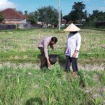 Polsek Kuripan Ajak Warga Dusun Due Pelet Wujudkan Kemandirian Pangan