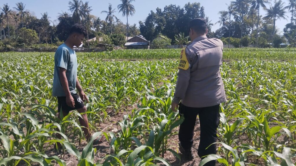 WhatsApp Image 2025-08-13 at 19.08.59