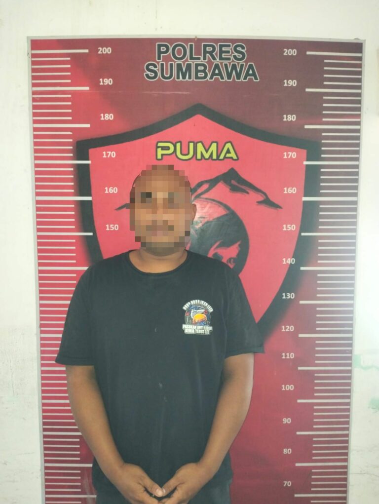 WhatsApp Image 2025-08-14 at 10.31.47