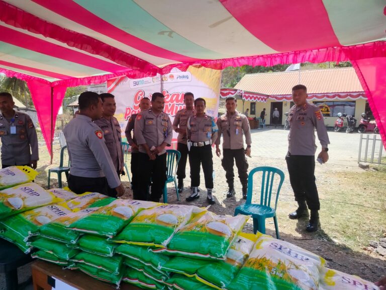 WhatsApp Image 2025-08-14 at 21.06.00