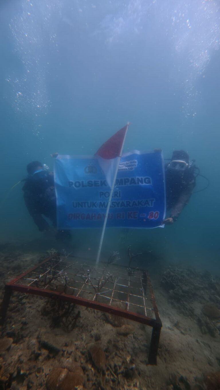 WhatsApp Image 2025-08-15 at 10.20.33