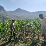 WhatsApp Image 2025-08-16 at 10.45.02