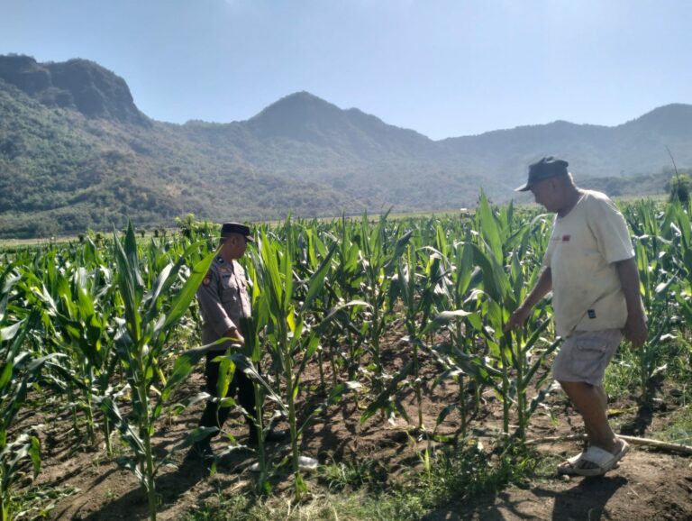 WhatsApp Image 2025-08-16 at 10.45.02