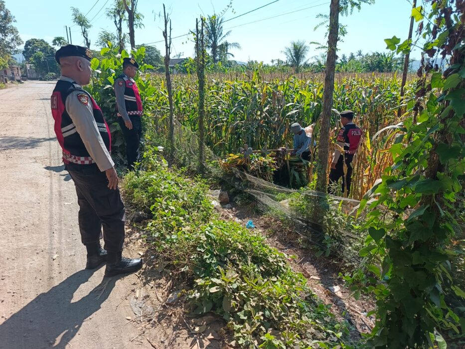 WhatsApp Image 2025-08-16 at 18.32.37 (1)