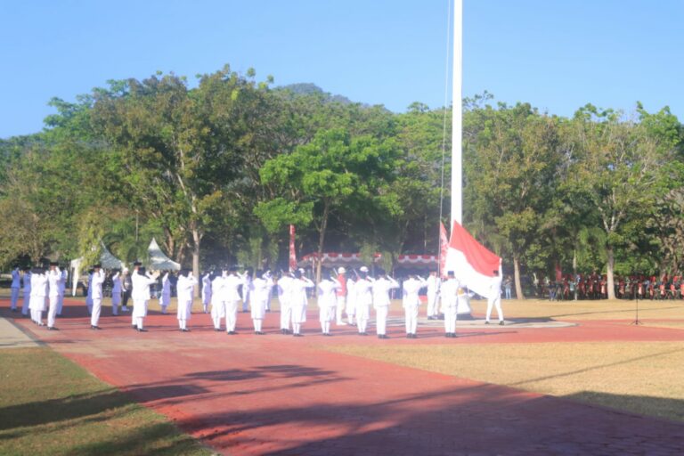 WhatsApp Image 2025-08-17 at 13.53.41