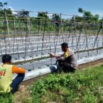 WhatsApp Image 2025-08-19 at 11.02.08