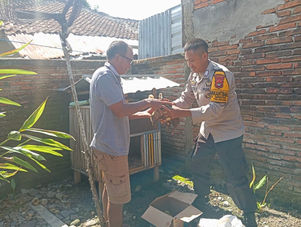 WhatsApp Image 2025-08-20 at 09.35.41