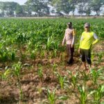 Kolaborasi Polisi dan Petani di Jagaraga untuk Wujudkan Lumbung Pangan Lokal