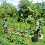 WhatsApp Image 2025-08-21 at 08.09.14