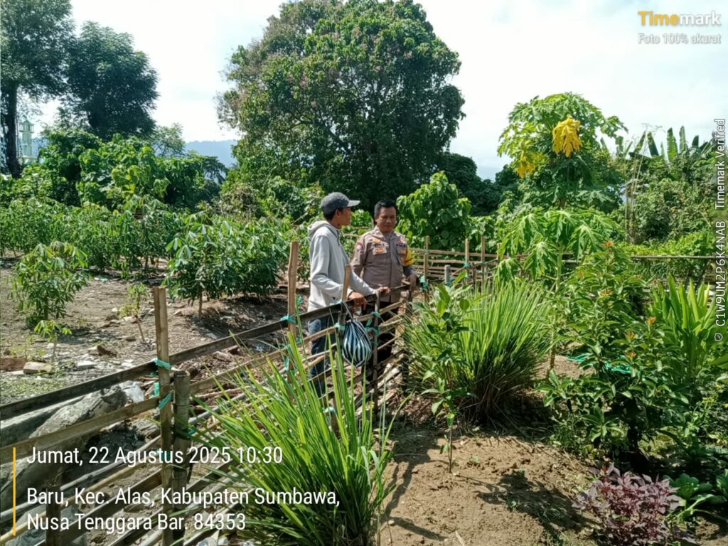 WhatsApp Image 2025-08-22 at 11.35.01