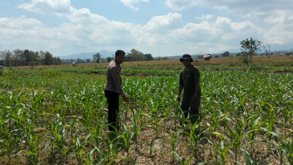 WhatsApp Image 2025-08-23 at 09.21.45