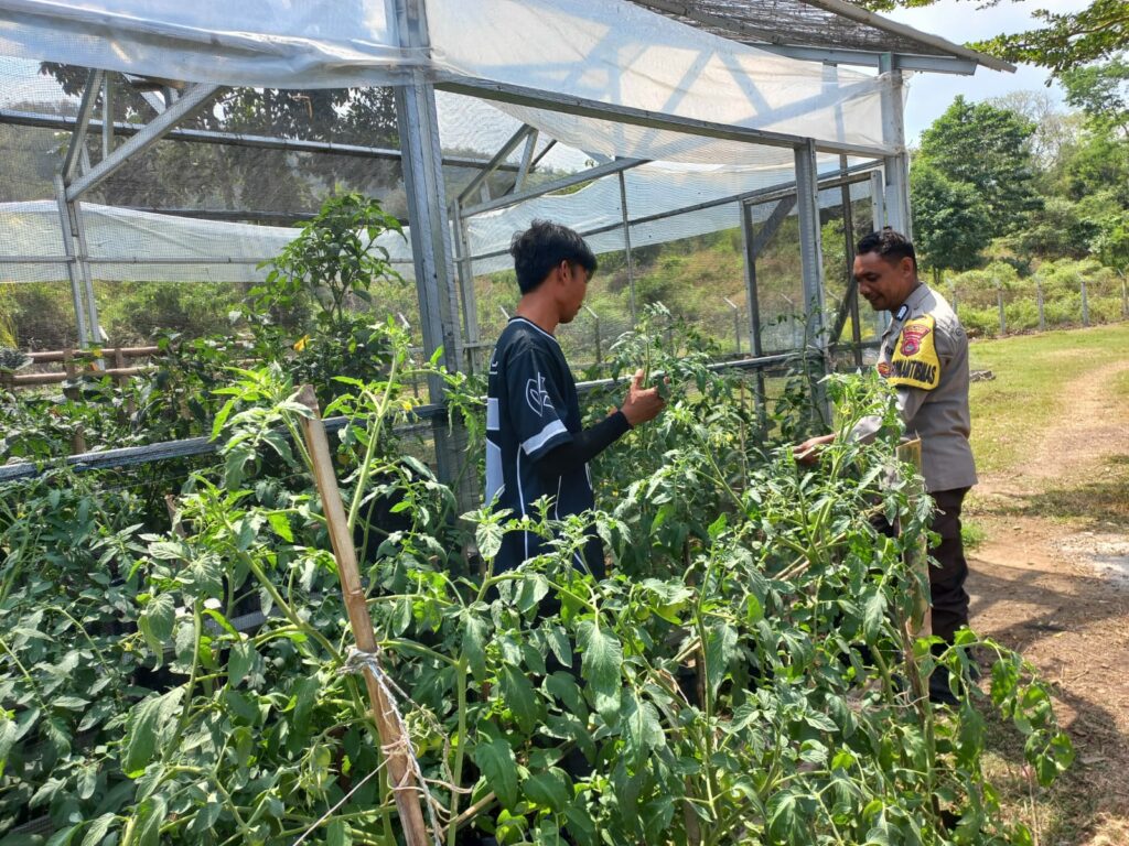 WhatsApp Image 2025-08-25 at 09.45.12