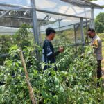 WhatsApp Image 2025-08-25 at 09.45.12